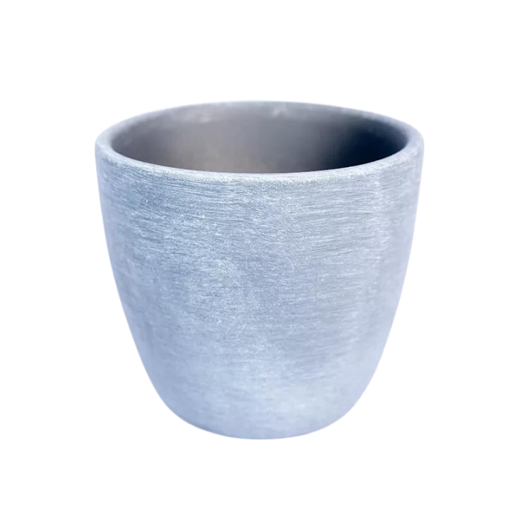 Osłonka Wenus szary lazur | 10 cm