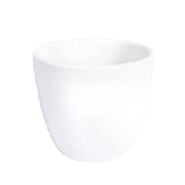 Osłonka Wenus biały połysk | 10 cm