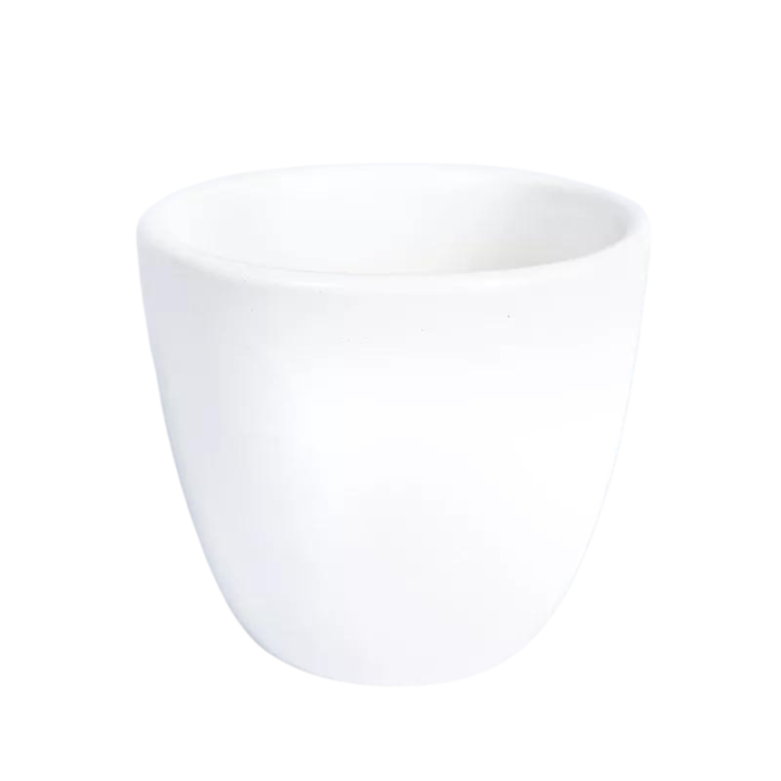 Osłonka Wenus biały połysk | 10 cm
