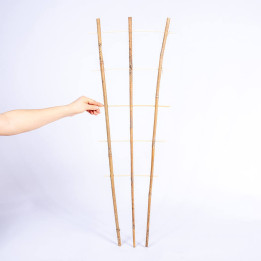 Drabinka bambusowa podwójna | 90 cm