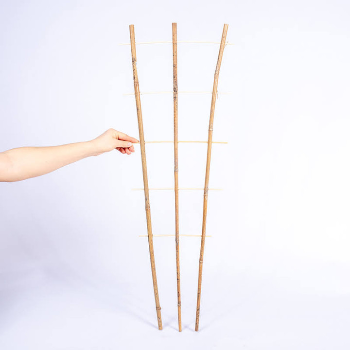Drabinka bambusowa podwójna | 90 cm